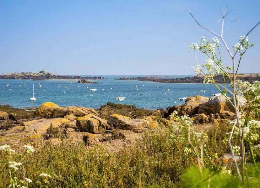 vue des Îles Chausey